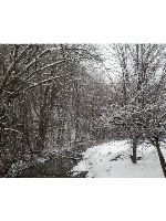 Design 106995 Canvas Prints Image