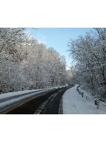 Design 106996 Canvas Prints Image