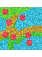 Design 127317