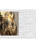 Design 147505