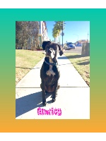 Design 148931 Canvas Prints Image