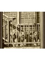 Design 149553 Canvas Prints Image