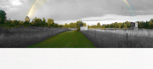 Design 149612 Canvas Prints