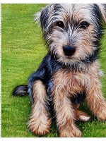 Design 169024 Canvas Prints Image