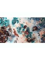 Design 190435