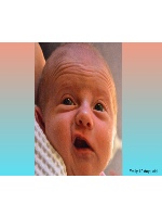 Design 19329 Canvas Prints Image