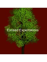 Exceed expectations