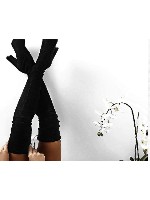 Design 212227