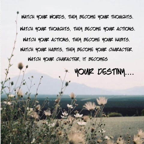 Design 215469 Canvas Prints