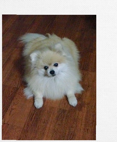 Design 215708 Canvas Prints