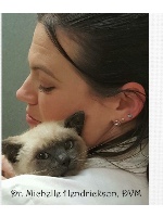 Design 221934 Canvas Prints Image