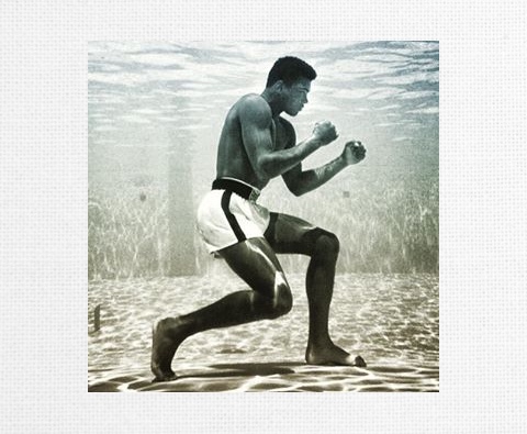 Design 225458 Canvas Prints