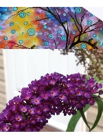 Design 228297