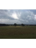 Design 245328 Canvas Prints Image