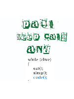 paul the programmer