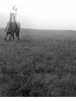 ride free