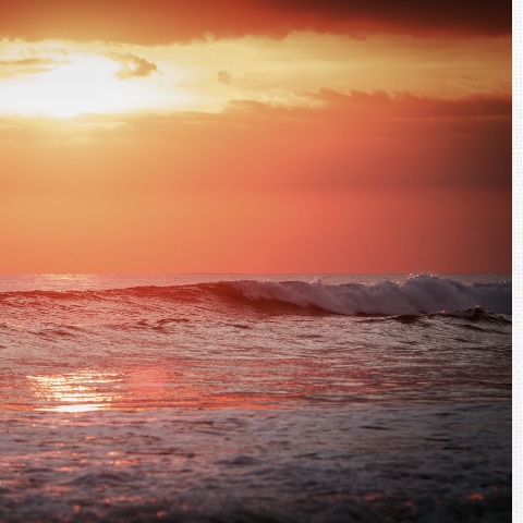 Design 273625 Canvas Prints