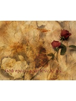 Design 279259