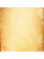 Design 280682