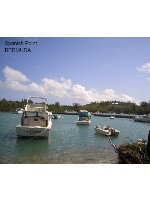 Loving Bermuda