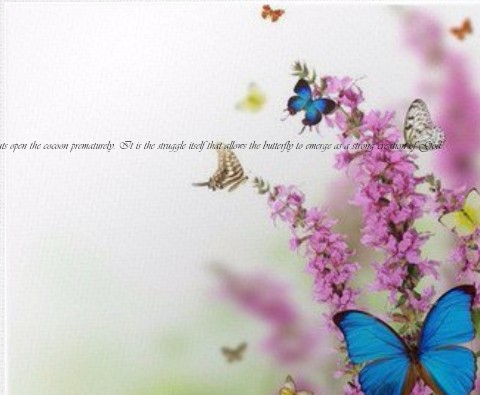 Design 289704 Canvas Prints