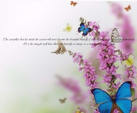 Design 289713 Canvas Prints