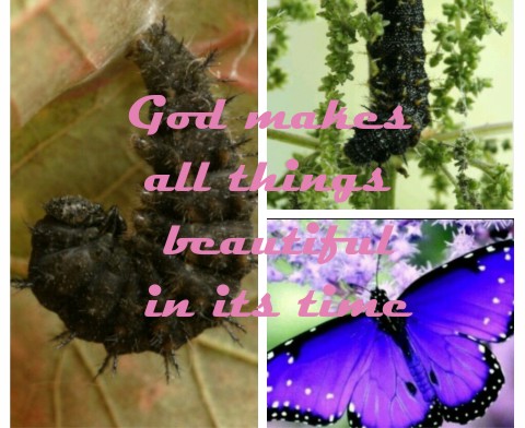 Design 300585 Canvas Prints