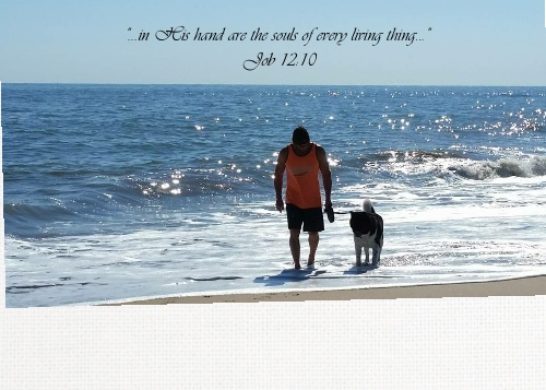 Design 305848 Canvas Prints