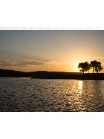 Design 310870 Canvas Prints Image