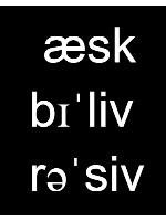 Design 313505