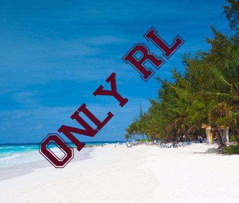 Design 318438 Canvas Prints