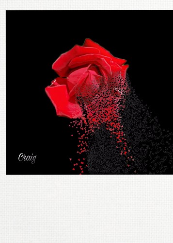 Design 329565 Canvas Prints