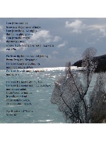 &amp;#039;I am&amp;#039; By Brosnan Canvas Prints Image