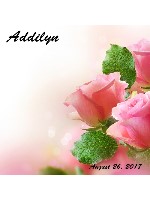 Design 339169