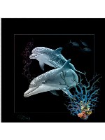 Dolphin