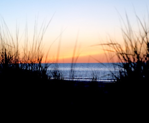 Design 352562 Canvas Prints