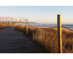 Design 354027 Canvas Prints Image
