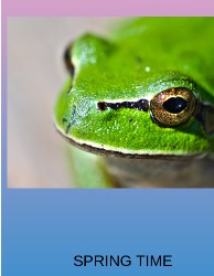 GREEN FROG