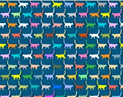 OTHER CATS