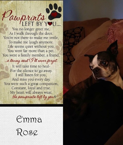 Design 368138 Canvas Prints