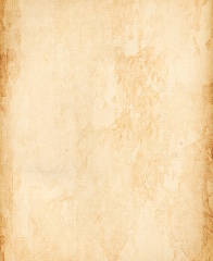 Design 368505