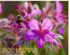 Bee Happy!