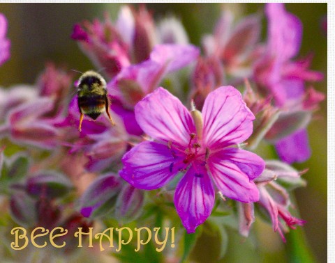 Design 369127 Canvas Prints