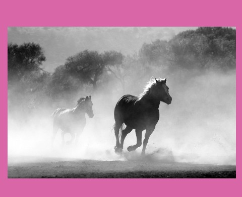 Design 372895 Canvas Prints