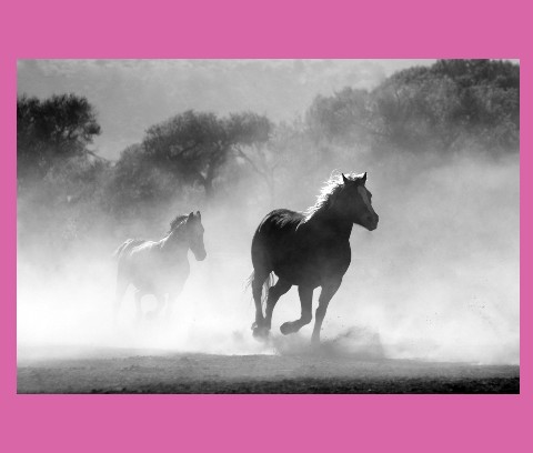 Design 372896 Canvas Prints