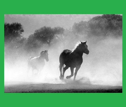 Design 372899 Canvas Prints