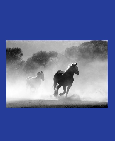 Design 372904 Canvas Prints