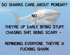 Design 377223 Canvas Prints Image