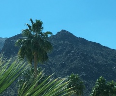 Palm Springs Window 2