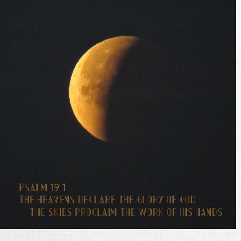 Design 388706 Canvas Prints